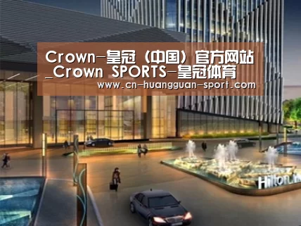案例展示二